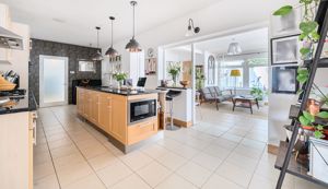 Photo 41- click for photo gallery